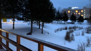 Январские каникулы 2024г