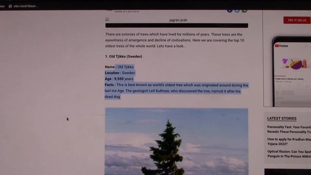 Wildfires threatens iconic sequoias trees in Yosemite; A SYMBOLIC SIGN!!!!!!! смотреть онлайн