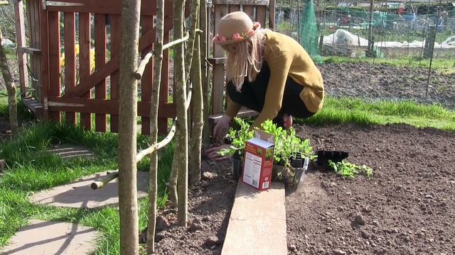 Katie's Allotment - Christmas 2015 смотреть онлайн