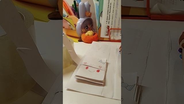 обзор органайзера.