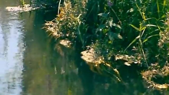 Бибисара Азаматова - "Таштура"