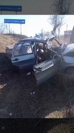 СМЕРТЬ ОТ УДАРА В ДЕРЕВО: водитель погиб в ДТП на трассе Большая Мартыновка - Семикаракорск.