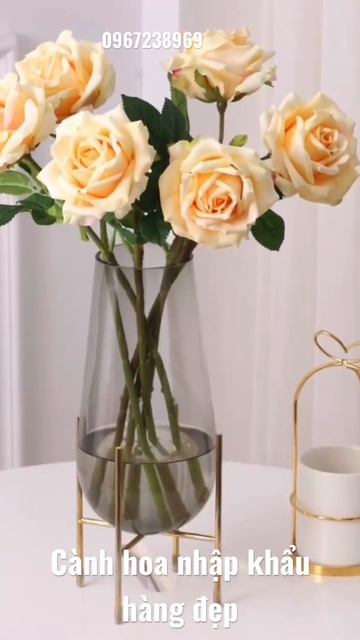 Hoa hồng nhập khẩu! смотреть онлайн