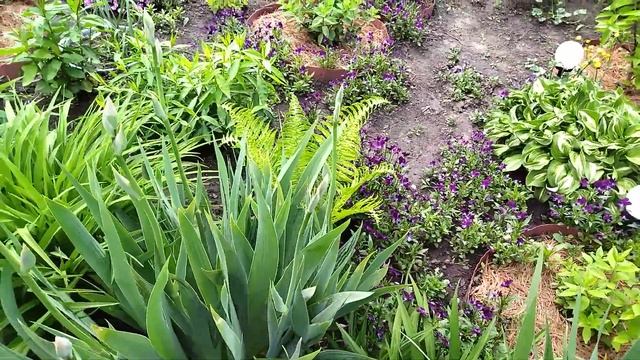 Наконец тепло. смотреть онлайн