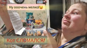 27.01.2024 ЗАБОЛЕЛА!🥴ВИРУСНЫЙ КОНЪЮНКТИВИТ!😵💫Саймон сбрендил!😼