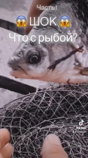 Больная рыба
