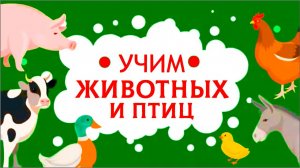 Учим Животных и Птиц - Развивающий мультик для детей - Познавательное видео для малышей