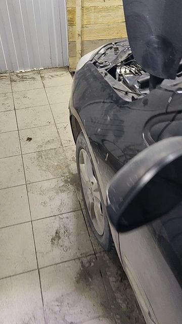 1000397565.mp4 смотреть онлайн