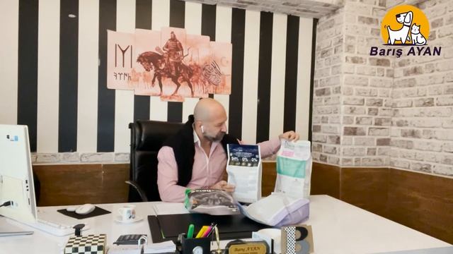 Hangi Kedi Mamasını Tercih Etmeliyiz? смотреть онлайн