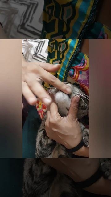 Brushing Teeth / Sassy / смотреть онлайн