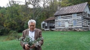 Nature Lesson - The White Heath Aster