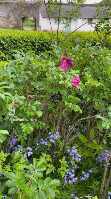 Современная поэзия - Стихотворение "Дождливый день" смотреть онлайн