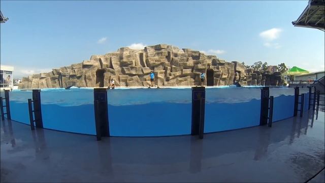 Батуми - 3 день поход в дельфинарий