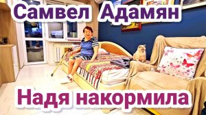 Самвел Адамян- Надя накормила Мои покупки