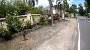 Бали: последний день на Бали, рынки и дорога (18.03.2019 путешествие в Индонезию)