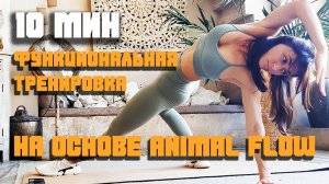 10 минутная Функциональная тренировка на базе ANIMAL FLOW. #AnimalFlow #ФункциональнаяТренировка