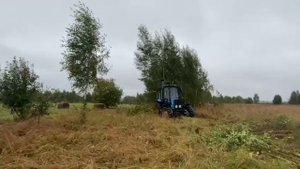 Кусторез К-2.5 М