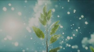 Павловния 25