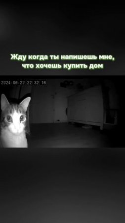 Готовые дома в продаже в чистовой и предчистовой отделке! Отдел продаж 📞 239-31-31