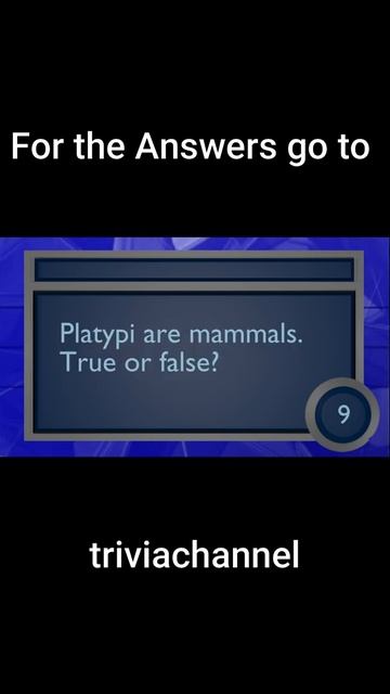 5 Interesting Facts about Platypus #shorts смотреть онлайн