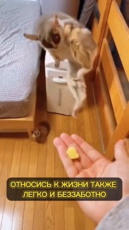 ЖИТЬ ЛЕГКО И БЕЗЗАБОТНО🌼 ©DegDi🔥