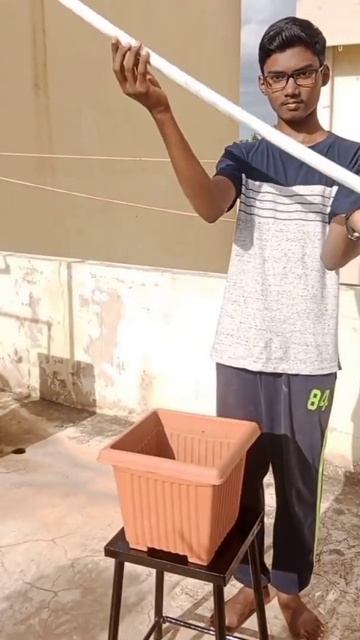 planting pothos money plant ☺️🌿 смотреть онлайн