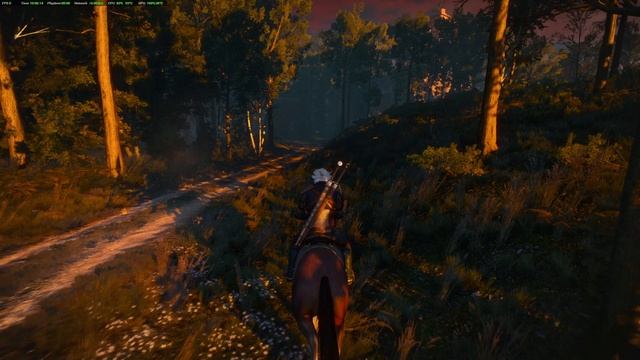 Прохождение игры  Ведьмак часть восьмая  битва   с гулем  встреча с  братом Бастена покупка грибов