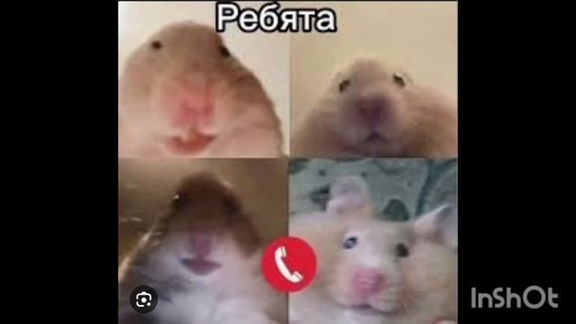 смешные хомяки 5ч.,С НОВЫМ ГОДОМ!!!