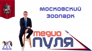 медиаПУЛЯ с Жигулиным. Выпуск #8