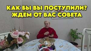 829 Семья которая переехала с Южного Урала на юг России/Купили новый дом