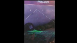 Работа Lowrance livesight