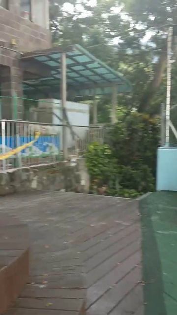 大樟樹 смотреть онлайн