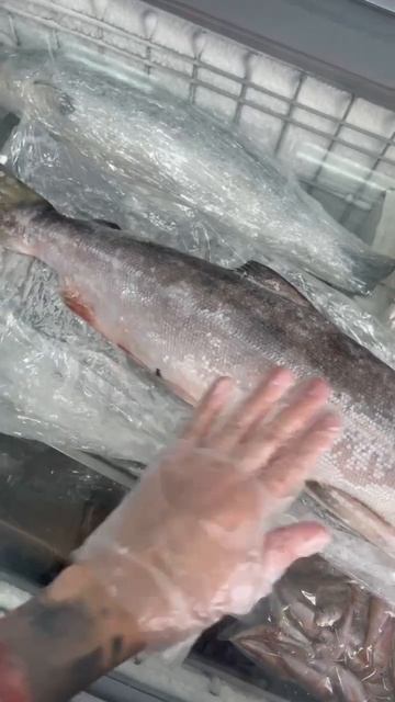 Свежемороженая Нерка 2023 года смотреть онлайн