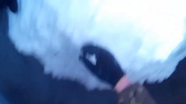 like a rabbit screaming in fright/ как кричит кролик от испуга смотреть онлайн