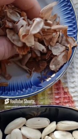 Миндаль в Крыму.Водная бланшировка.Очень питательно,полезно и вкусно.