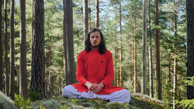 Відновлення Ресурсу: Детокси і Перезавантаження смотреть онлайн