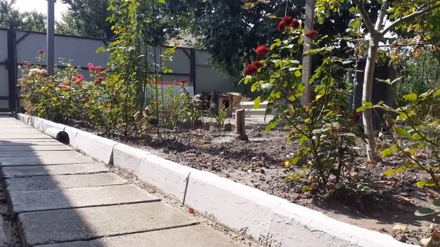 Собака блогер в опасности 3 часть смотреть онлайн