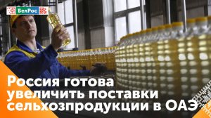 Патрушев: Россия наращивает поставки сельхозпродукции в страны Персидского залива