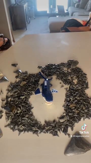 Anyone less have an irrational fear of megalodon?😅 #legocreator #megalodon #shark #sharkteeth смотреть онлайн