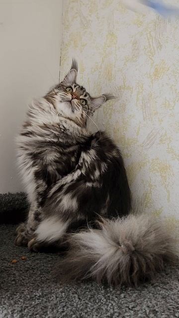 Флешка