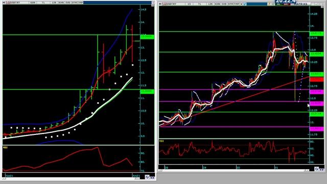  MerkezBankası  Dolar müdahale etti 12.50 !