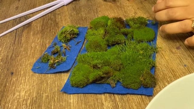 How to make a basic moss garden terrarium using live moss and polka dot plant cuttings
