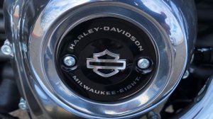 2021 Harley-Davidson FXST Softail Standard 107 | Bike of the Week