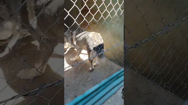 Kут жол сегодня смотреть онлайн