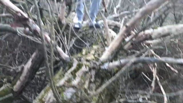 ПОДСНЕЖНИКИ УЖЕ В КРЫМУ!!!!Наши родники в балке…….. смотреть онлайн