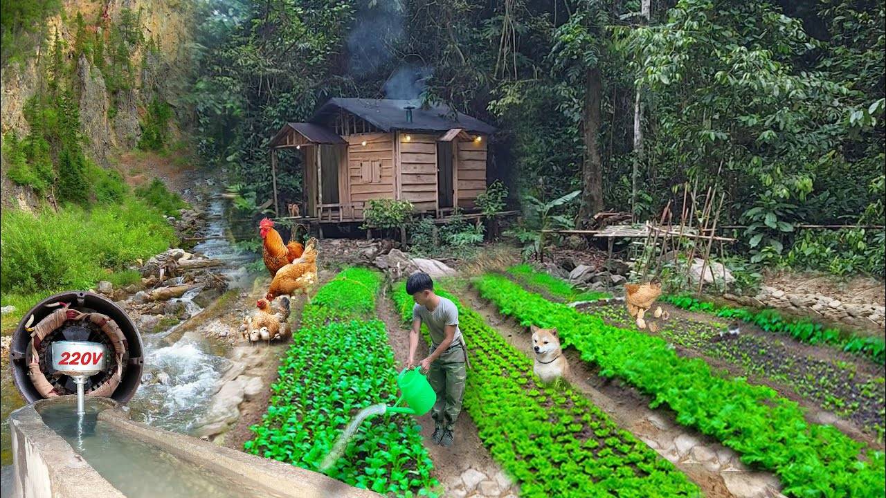 ФИЛЬМ об ОСУЩЕСТВЛЕНИИ МЕЧТЫ ДЕТСТВА. ЖИЗНЬ в ЛЕСУ смотреть онлайн