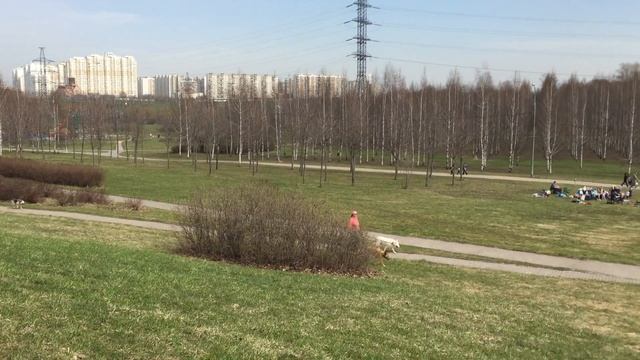 Easter Picnic 2017 смотреть онлайн