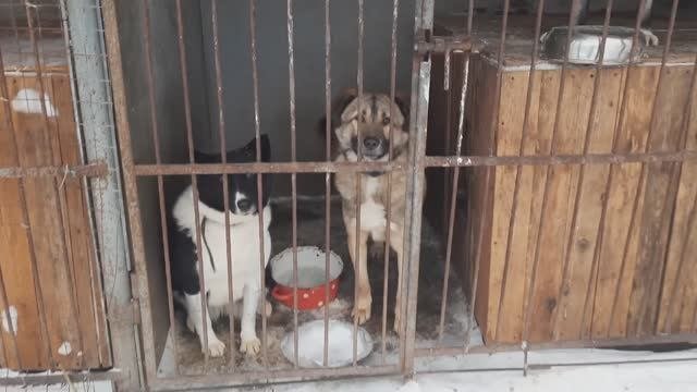 Душевное