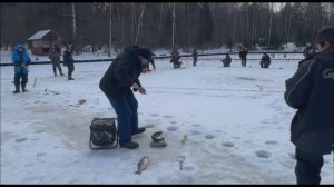 Поимки и сходы на запуске. Нижний пруд. Клёвое место Лосиный остров.