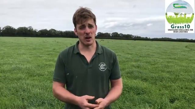 John Trant - Clover in Clongowes смотреть онлайн